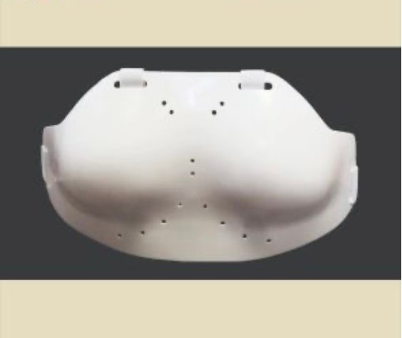 Screenshot AF FIE Chest Protector for Women (Plastic + Soft Layer) - Image 1